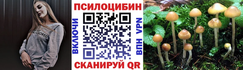 Галлюциногенные грибы Cubensis  даркнет клад  Ульяновск 